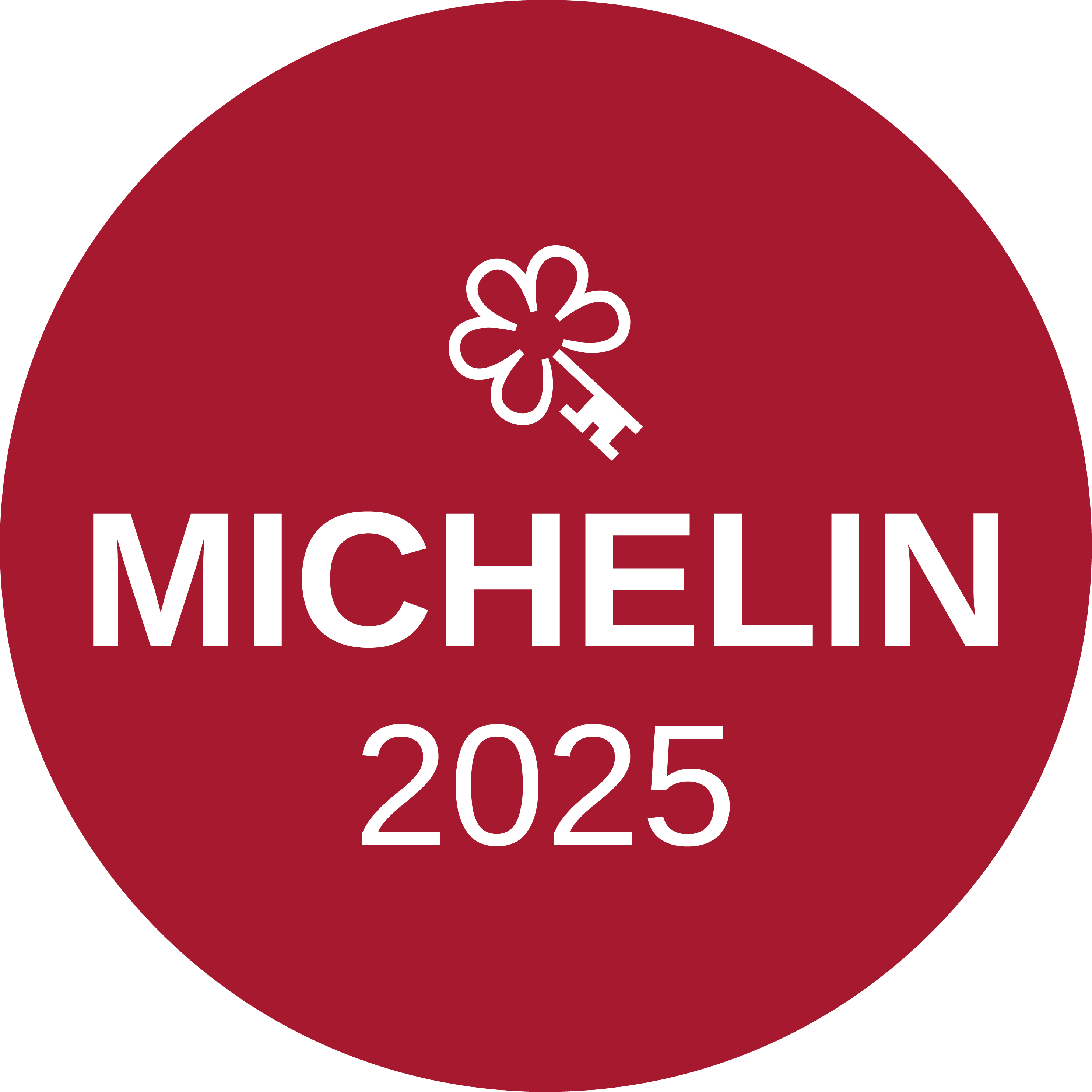 Michelin Logo